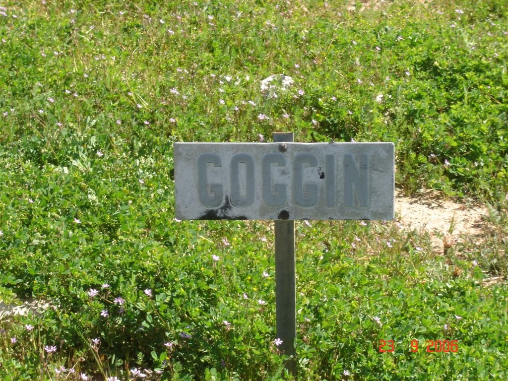 GOGGIN