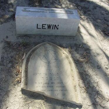 LEWIN Shabtai