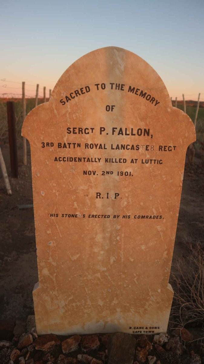 FALLON P. -1901