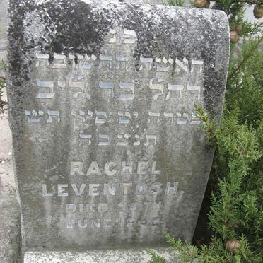 LEVINTOSH Rachel -1940