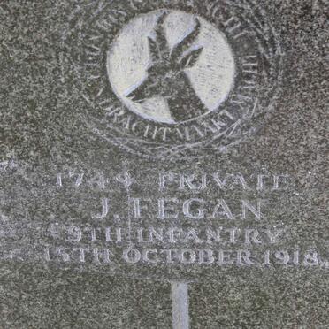 FEGAN J. -1918