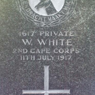 WHITE W. −1917