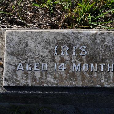 ? Iris