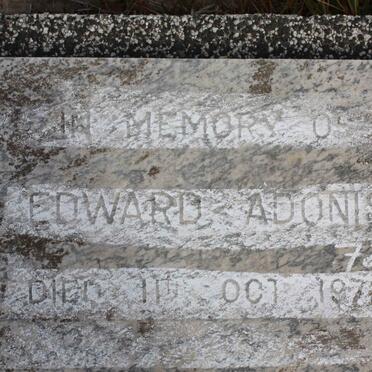 ADONIS Edward -1972