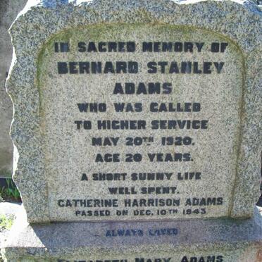 ADAMS family