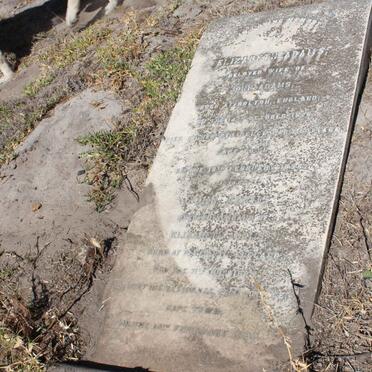 ADAMS John 1825-1899 &amp; Elizabeth 1828-1899 