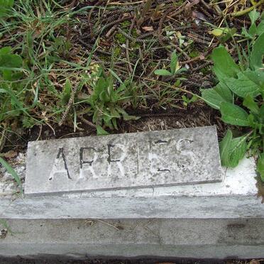 ARRIES