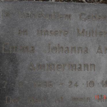 Am - Surnames starting with the letters Am