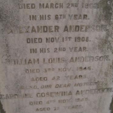 ANDERSON Alexander -1908 :: ANDERSON William Louis -1946 :: ANDERSON James -1934 &amp; Caroline Gosewina -1946