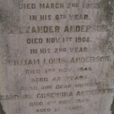 ANDERSON Alexander -1908 :: ANDERSON William Louis -1946 :: ANDERSON James -1934 &amp; Caroline Gosewina -1946