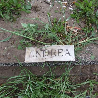 ANDREA