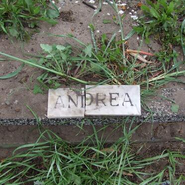 ANDREA