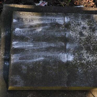 BESTER Elsie Sophia Johanna 18??-1953