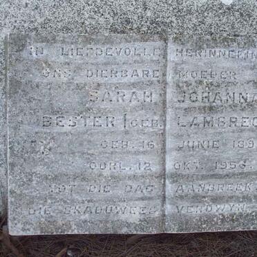 BESTER Sarah Johanna nee LAMBRECHTS 1890-1956