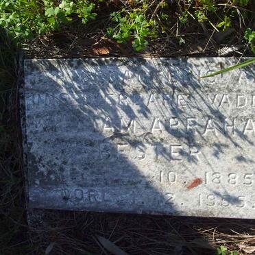 BESTER William Abraham 1885-1955