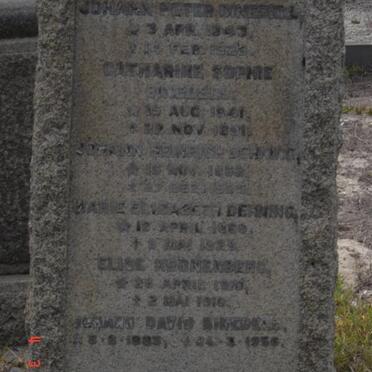 BINEDELL :: DEHNING :: KRONENBERG