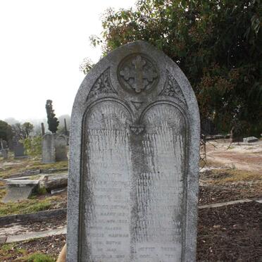 BOTHA :: STEGMANN :: HAMMAN