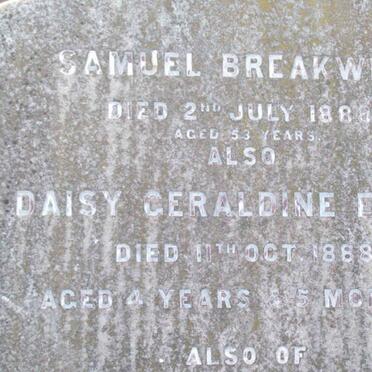 BREAKWELL :: ELLIS