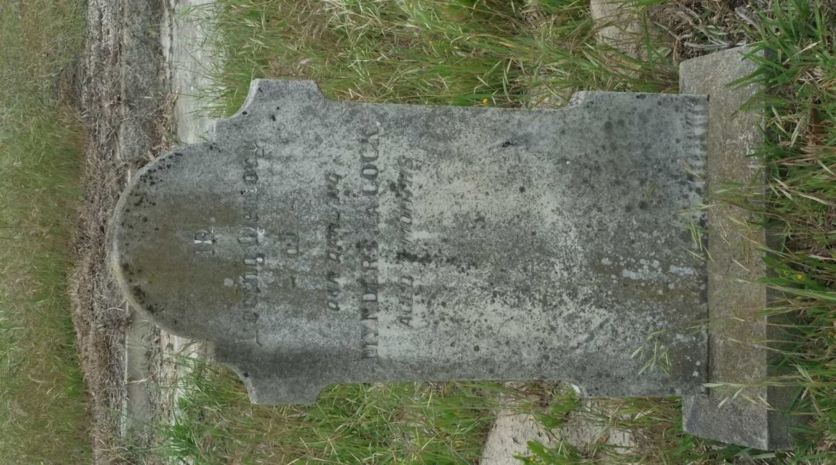 COCK Myndert, la