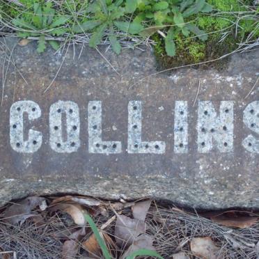 COLLINS