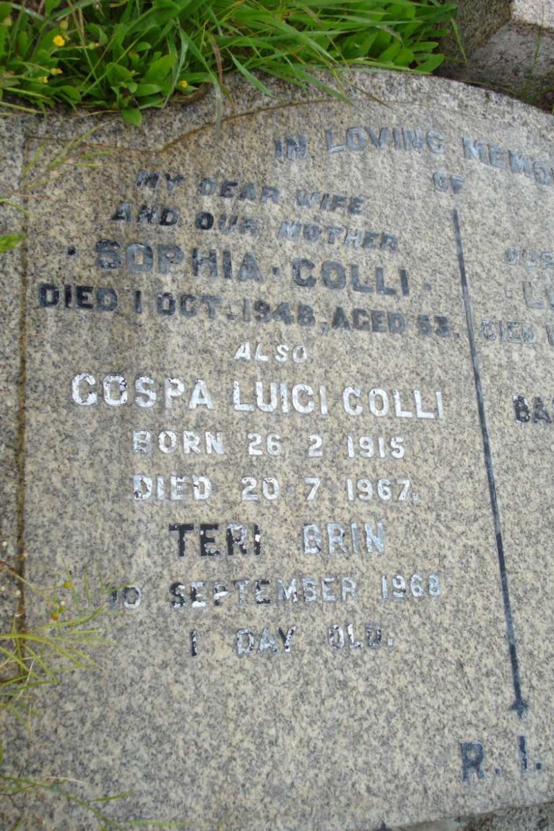 COLLI Sophia -1948 :: COLLI Cospa Luici 1915-1967 :: BRIN Teri -1968