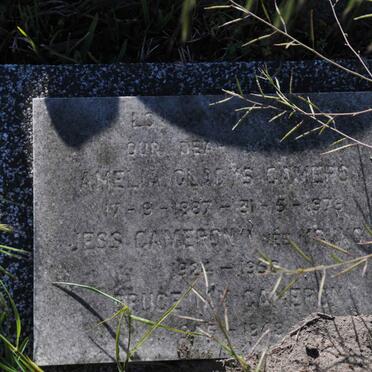 CAMERON Amelia Gladys 1887-1976 ::  CAMERON Jess nee YOUNG 1924-1958 :: CAMERON Bruce Ian 1945-1948