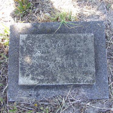 CAMARA James 1959-1981