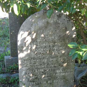 COLLINS Edward Francis Daniel 1890-1917