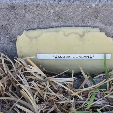 CONLAN Maria