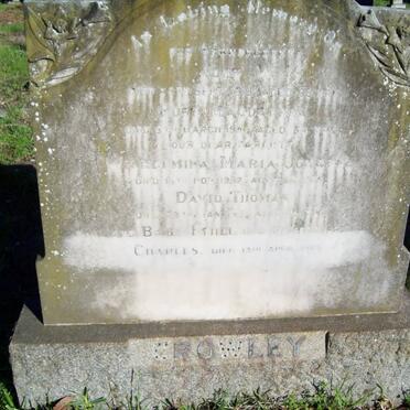 CROWLEY John -1918 :: CROWLEY Rose Magdalene -194? :: CROWLEY Wilhelmina Maria Johanna -1952