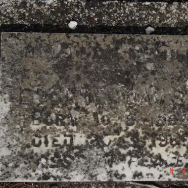 DAVIDS Eugene 1892-1969