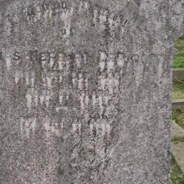 DRAYCOTT Thomas Herbert -1906