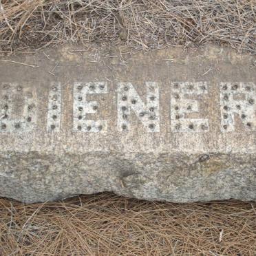 DIENER August C.W. 1876-1970 &amp; Jacoba Petronella GOUWS 1886-1962 :: DIENER August C.W. 1949-1973 