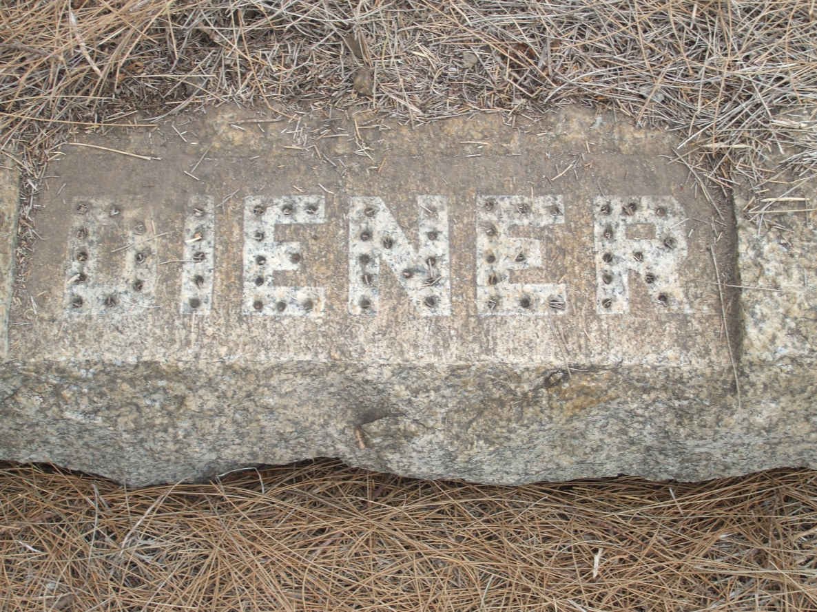 DIENER August C.W. 1876-1970 &amp; Jacoba Petronella GOUWS 1886-1962 :: DIENER August C.W. 1949-1973