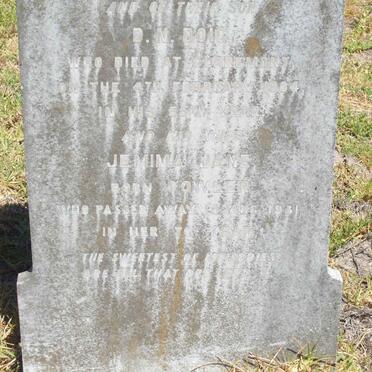 DOIG D.N. -1904 &amp; Jemima Jane FOWLER -1931