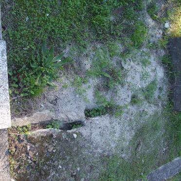 DYK James, van -1984 :: VAN DYK Alice Maria -1958 :: VAN DYK Isabella -1935