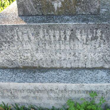 ELLIS John Alfred 1852-1903