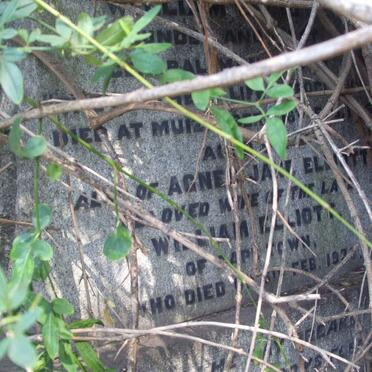 ELLIOTT William -19?? &amp; Agnes Jane -1936