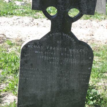 HAYES Henry Francis -1895