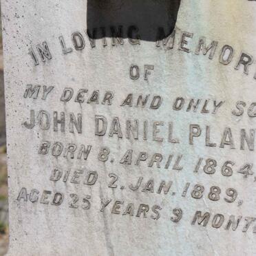 HENDRICKS :: PLANT :: GREYBE 