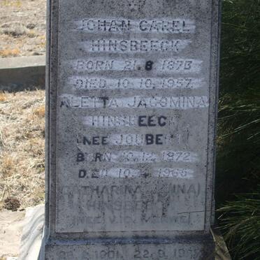 HINSBEECK :: FLAVELL :: JOUBERT :: V.D. MERWE