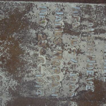 HOEVE Catherine, van der -1905 :: MORCOM James -1914 :: MORCOM Caroline -1950