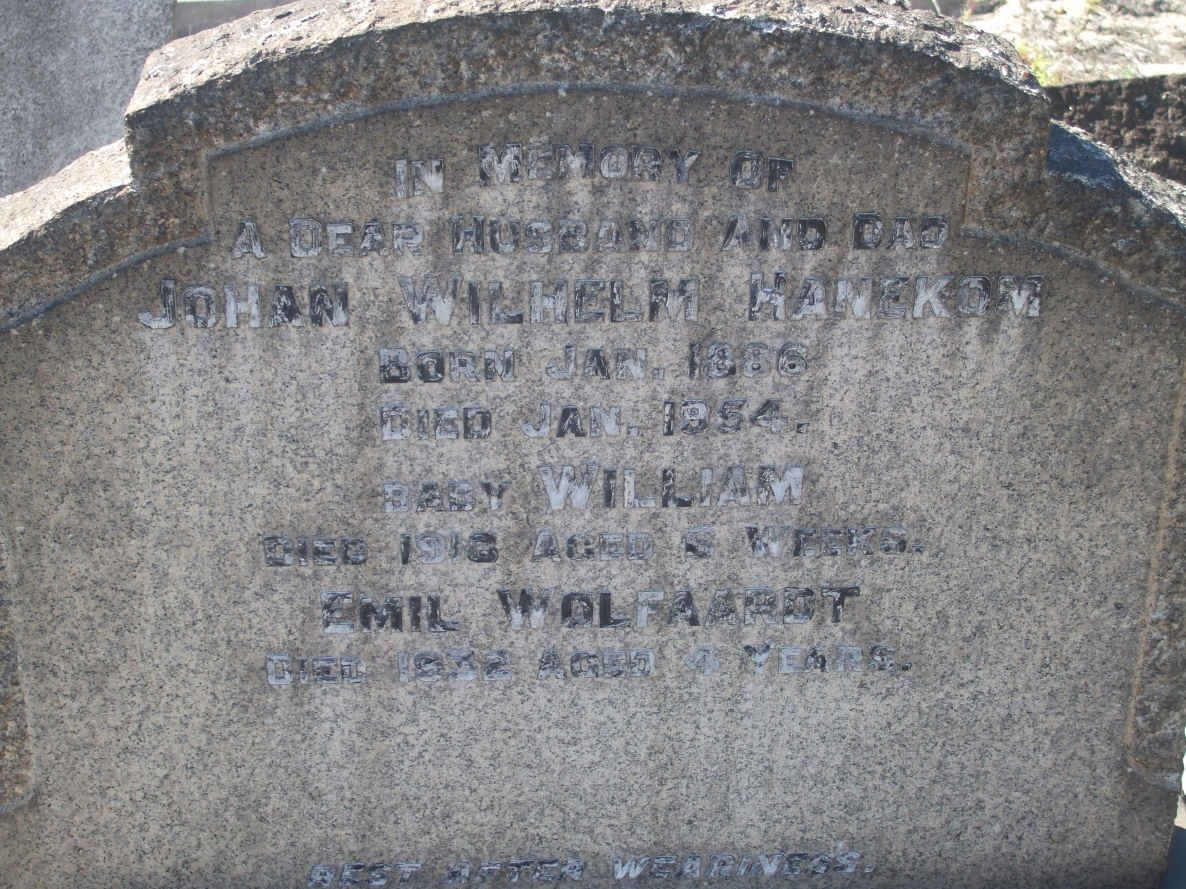 HANEKOM Johan Wilhelm 1886-1954 :: HANEKOM William -1918 :: WOLFAARDT Emil -1932