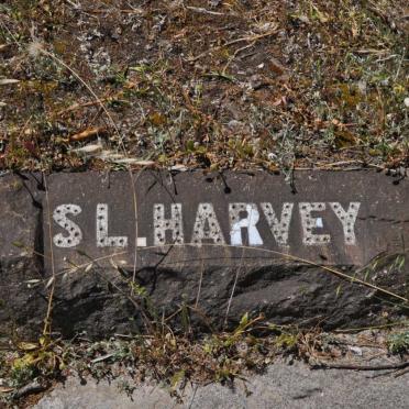 HARVEY S.L.