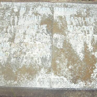 HOEVE Catherine, van der -1905 :: MORCOM James -1914 :: MORCOM Caroline -1950