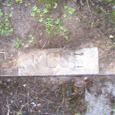 KLUE Jacob -1983