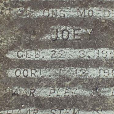 KONYNENBURG Joey, van 1908-1964