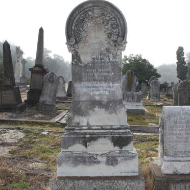 KOSTER :: MEIRING :: DE VILLIERS