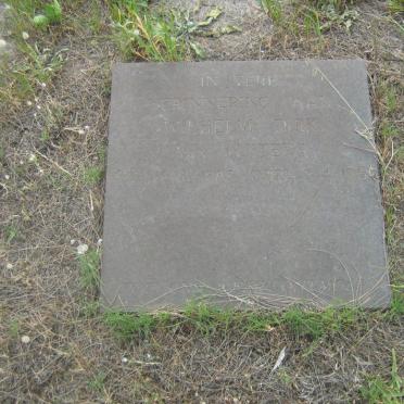 LUITERS Wilhelm Dirk, van 1885-196?