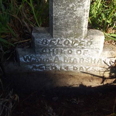 MARSHALL Child